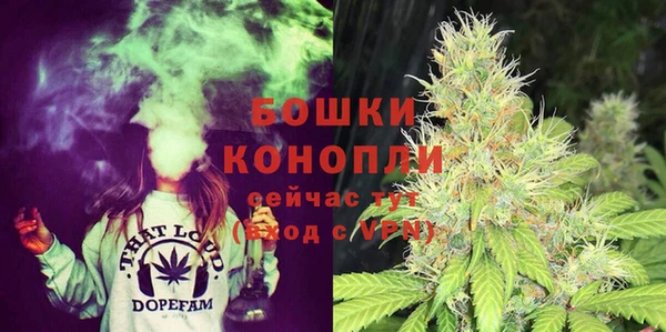 шишки Магас