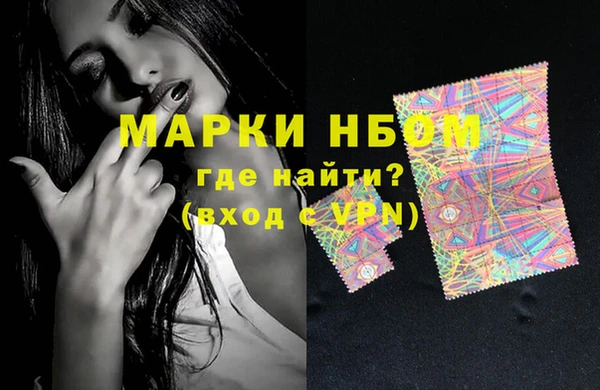 шишки Магас