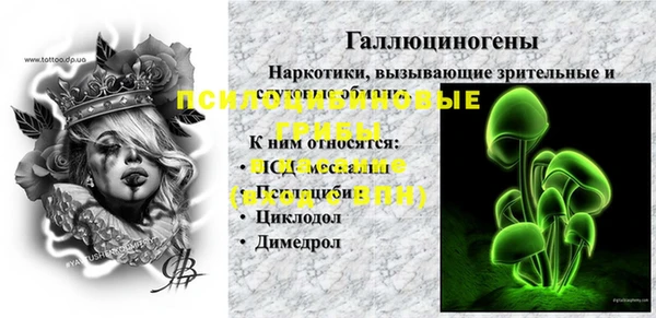 СК Аркадак