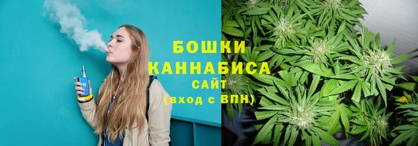 СК Аркадак